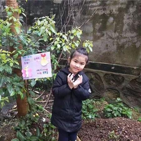 运用'家园卫士辅助脚本'：让程序自动管理家中设备，实现智能家居生活