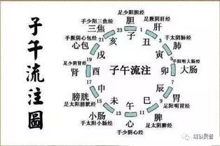 (元气和阳气,阴气的区别)探讨元气与阴阳在中医学中的重要作用及其相互关系