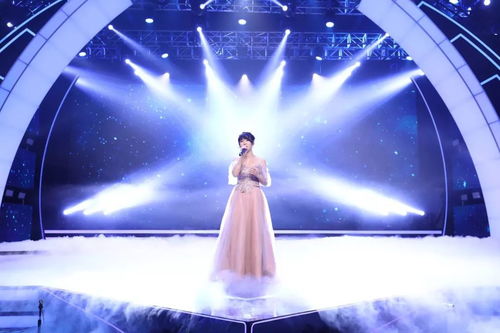 (绽放的星星音乐)绽放星之声：最动听的主题曲辑集