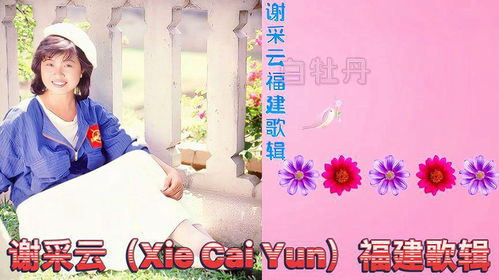 (绽放的星星音乐)绽放星之声：最动听的主题曲辑集