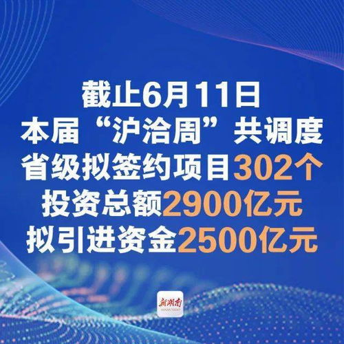 (新冠疫情下的全球合作)大国战疫：全球合作与科技创新在疫情防控中的重要作用与启示