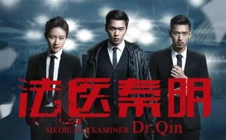 (代号zny)代号ZZGS：深入解析这一神秘代号背后的故事与意义