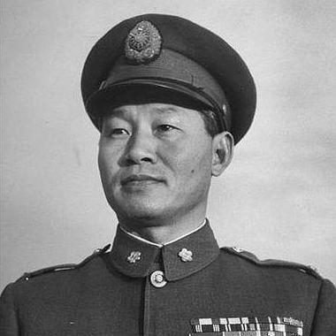 台湾住民热烈迎接远征军灵柩，公众悼念致敬反映台湾社会对英雄的深深尊崇