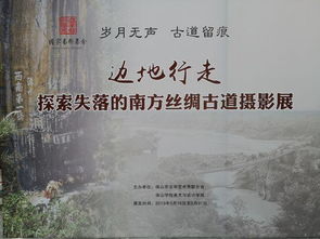 逆境中的坚定选择：无路可退——北南的心灵探索与成长之旅