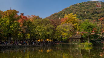 (天平山游记作文600字)探秘自然奇观之路：游天平山记