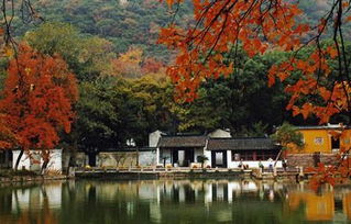 (天平山游记作文600字)探秘自然奇观之路：游天平山记