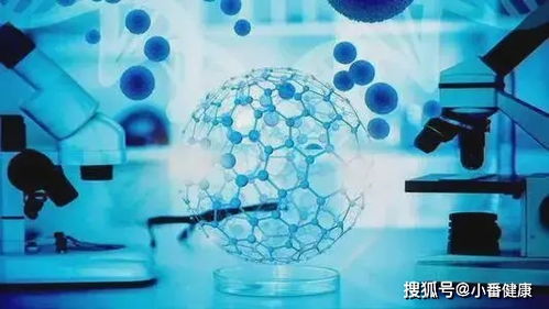 (工作细胞模型)探索未来科技：工作细胞模拟器的应用和挑战