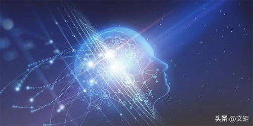 (工作细胞模型)探索未来科技：工作细胞模拟器的应用和挑战
