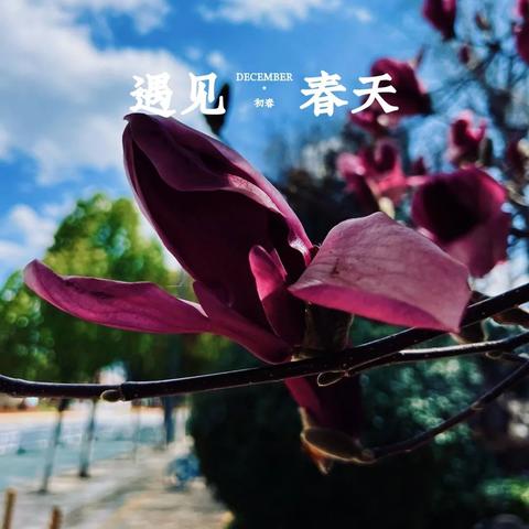 (晨曦列车在哪里玩)探寻日出的美丽：晨曦列车单机版游戏全指南