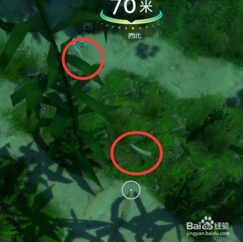 (深海之牙怎么获得?)如何获取深海之息礼盒？快速获得指南分享