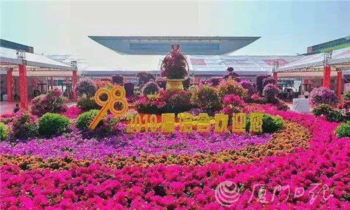 紫禁繁花停止运营了吗？网友热议这一知名文化景点的未来如何发展？