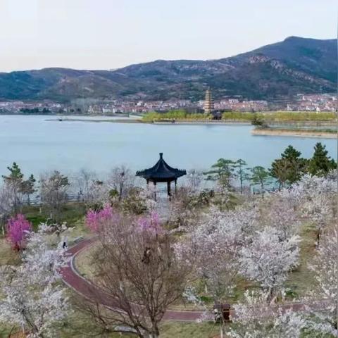 (大圣快点游戏)大圣快快5中文版更新内容详解：全新地图、技能及角色介绍