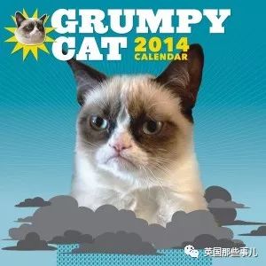 探索新版猫社区官方的全新功能与精彩活动，让您畅享宠物乐趣与交流分享