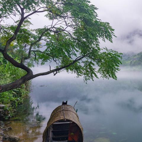 (江南烟雨含义)江南烟雨中的意思是什么？意蕴深远，唯美入骨。