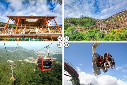 穿越龙谷过山车：探险之旅穿越神秘山谷，畅游刺激刺骨的过山车冒险