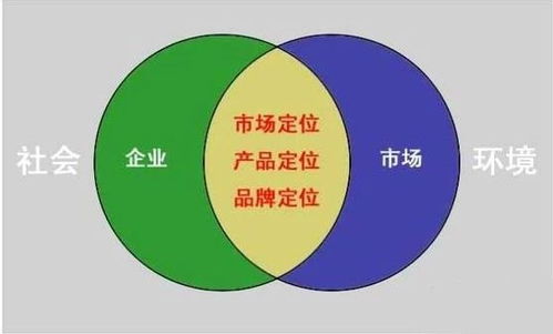 (塞勒恩特)探索新的战略：塞勒特大陆枪技能搭配指南及策略分析