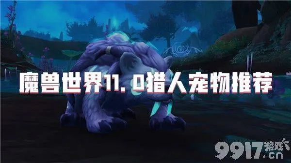 魔兽世界1.12版本猎人职业升级宠物推荐攻略：精通宠物选择与养成技巧