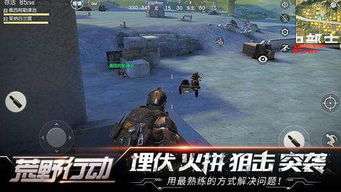 (探索荒野之中的最强阵容与强大角色们的关系)探索荒野之中的最强阵容与强大角色们