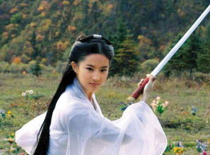 (黄蓉的心蕴含神雕皇宫的奇幻与权谋吗)黄蓉的心蕴含神雕皇宫的奇幻与权谋
