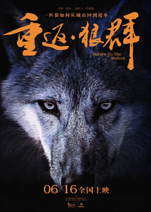 仙道奇侠之战狼传：探寻传奇之路，勇敢迎战狼群，终成修仙大师。