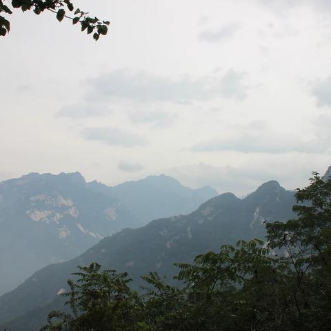 (雷霆狂暴漩涡评测)雷霆狂暴巨龙：威猛无畏、巍然屹立，统领天空的霸主