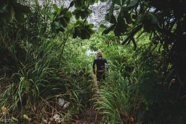 (陌生的森林这是一个强大怪物)在陌生的森林中徘徊:探寻大自然的奥秘和无限想象 (陌生的森林这是一个强大怪物)在陌生的森林中徘徊:探寻大自然的奥秘和无限想象