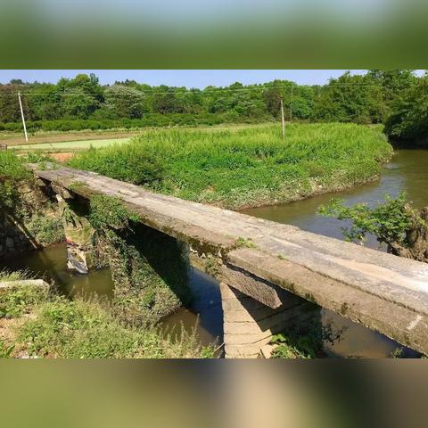 “逍遥浪人是什么意思?探讨这一词汇在文学和文化中的深层含义与象征” “逍遥浪人是什么意思?探讨这一词汇在文学和文化中的深层含义与象征”