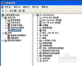 如果你的电脑声音失真不正常,该如何解决和排查问题的详细步骤和方法?