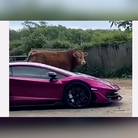 (奇迹之剑vip价格表)奇迹之剑v12无限钻石攻略:如何轻松获取无限钻石!