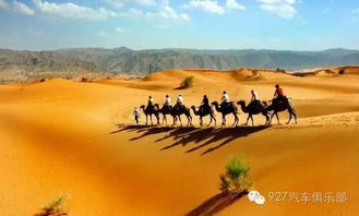 深入浅出探讨《流浪城堡 大漠之狼》:揭秘主角克服荒漠艰难险阻,励志成长为自由狼群领袖的心路历程 深入浅出探讨《流浪城堡 大漠之狼》:揭秘主角克服荒漠艰难险阻,励志成长为自由狼群领袖的心路历程