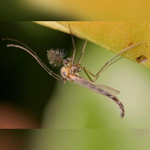 探索神秘的宇宙：揭秘科幻片《跨时空隐藏攻略》中复杂时间旅行与精心设计的隐藏剧情
