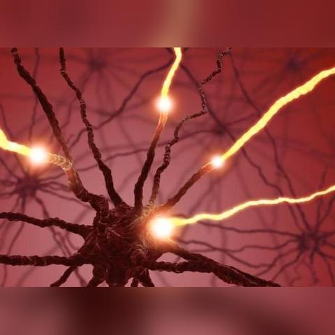 (乌合之众哪一版翻译好)乌合之众哪版翻译最好？打开这本书的全新视角