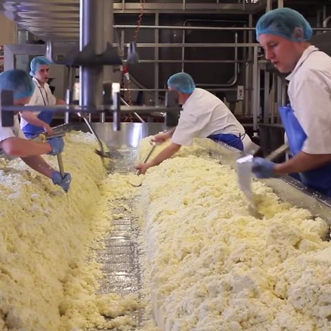 (我的迷你方块世界)探索我的迷你块状世界下载安装指南及攻略