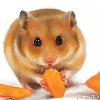 (口袋对决怎么mega)口袋对决手游:收集萌宠,挑战冠军,展示你的策略和实力! (口袋对决怎么mega)口袋对决手游:收集萌宠,挑战冠军,展示你的策略和实力!