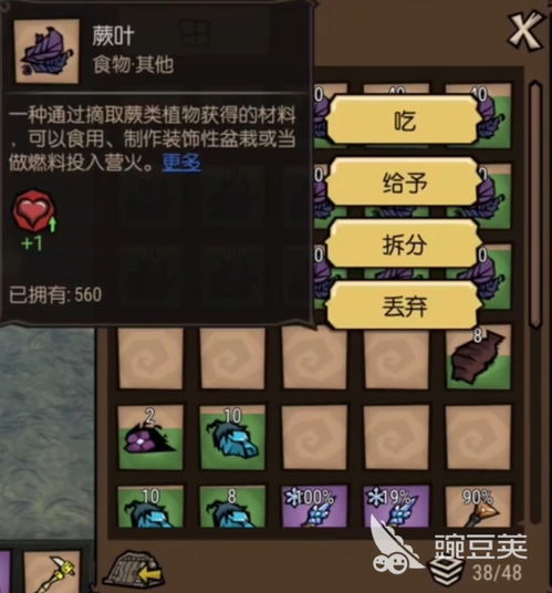 饥荒新家园预计上线时间及最新动态解析，玩家们准备好迎接新挑战了吗？