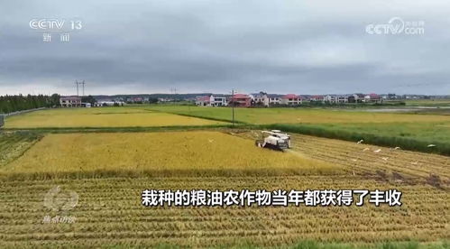 (良田改造有补贴金吗)这城有良田一折充值入口,畅享农田风光和充值优惠 (良田改造有补贴金吗)这城有良田一折充值入口,畅享农田风光和充值优惠